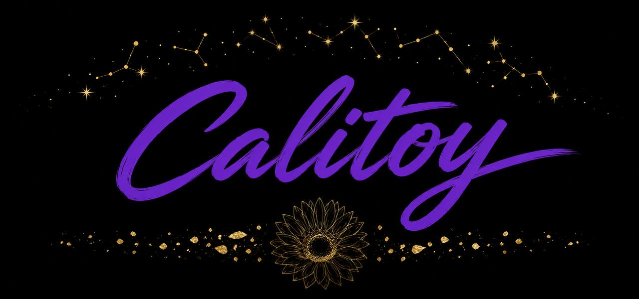 Calitoy Purple Sunflower Tee